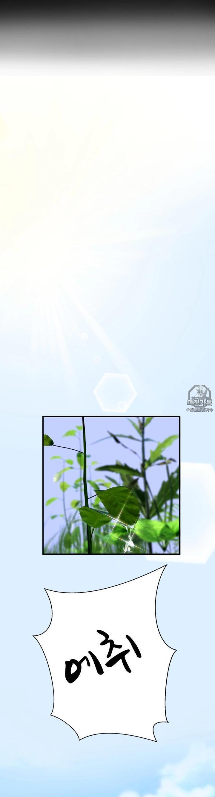mzg_1702934951_48478457259770.jpg